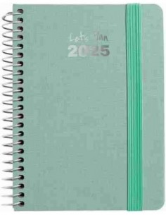 Agenda 25 D/P A6 FANCY mint