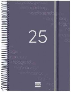 Agenda Día Página Year E40 Azul 2025