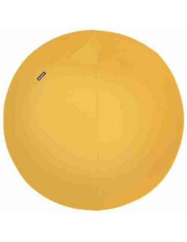 Balón de asiento Leitz Ergo Cosy Active