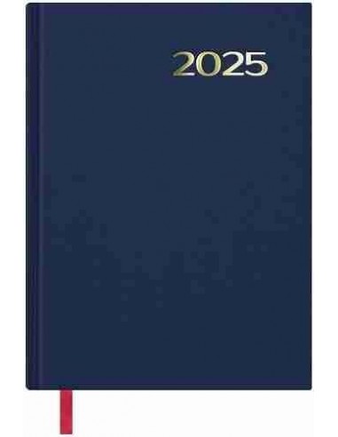 Agenda Día Página Sintex 14x20 Azul 2025