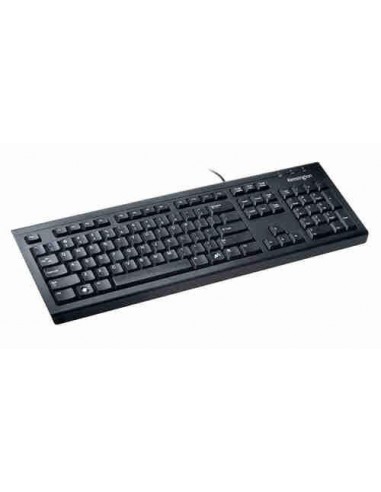 Teclado ValuKeyboard USB/PS2