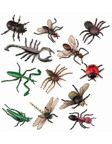 Conjuntos temáticos de animales - Insectos